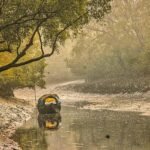 Sundarban Tour Package-Sundarban Trisha Tourism